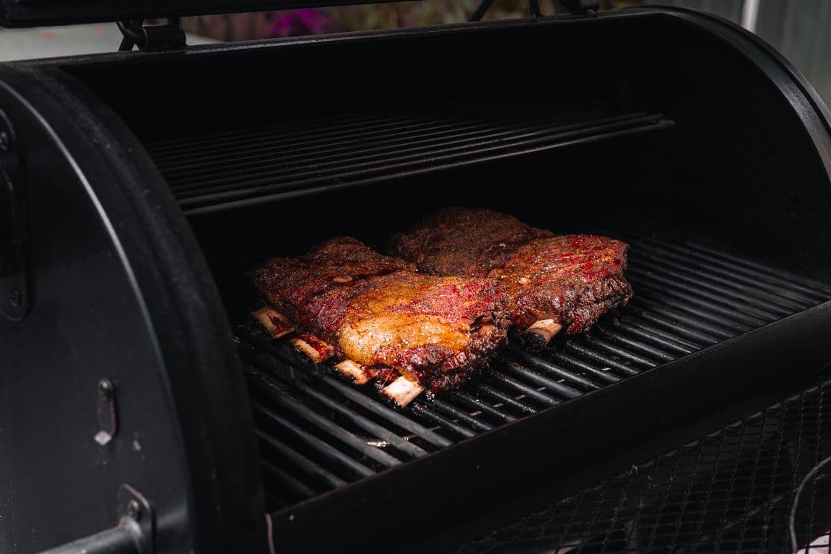 Best Smoker for Beginners in Australia